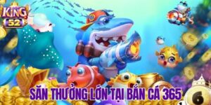 Bí Quyết Chơi Bắn Cá 365 – Trở Thành Cao Thủ Săn Cá Dễ Dàng