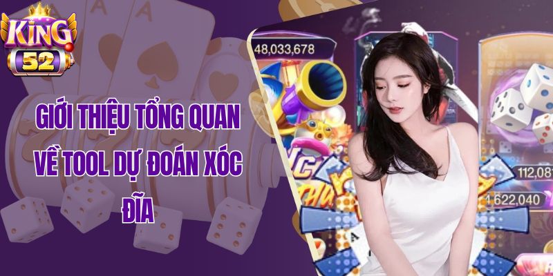 Giới thiệu tổng quan về tool dự đoán xóc đĩa
